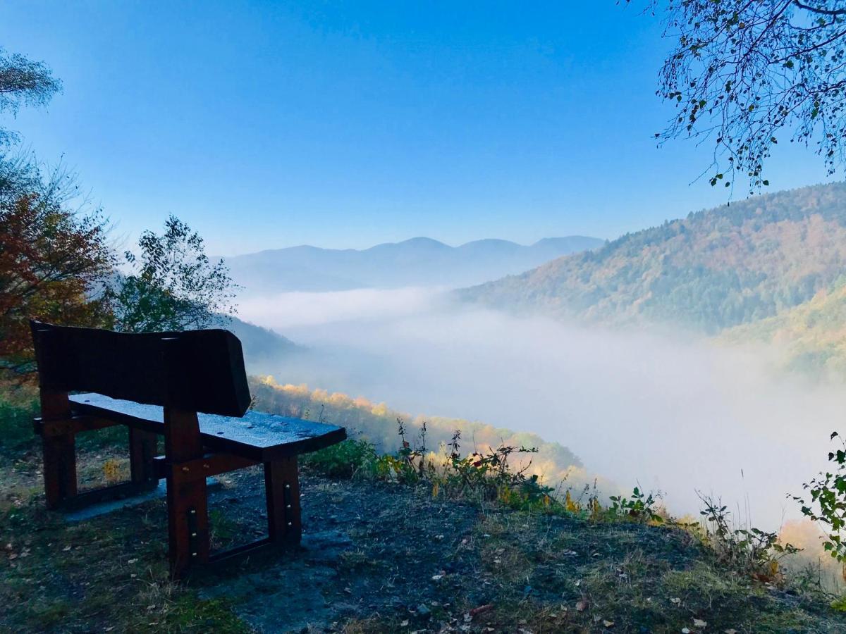 Carpe Diem - Cote-Montagnes Oderen 외부 사진